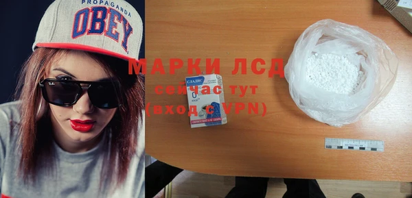 сатива Магас