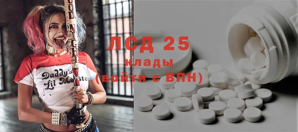 сатива Магас