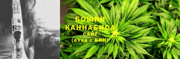 сатива Магас